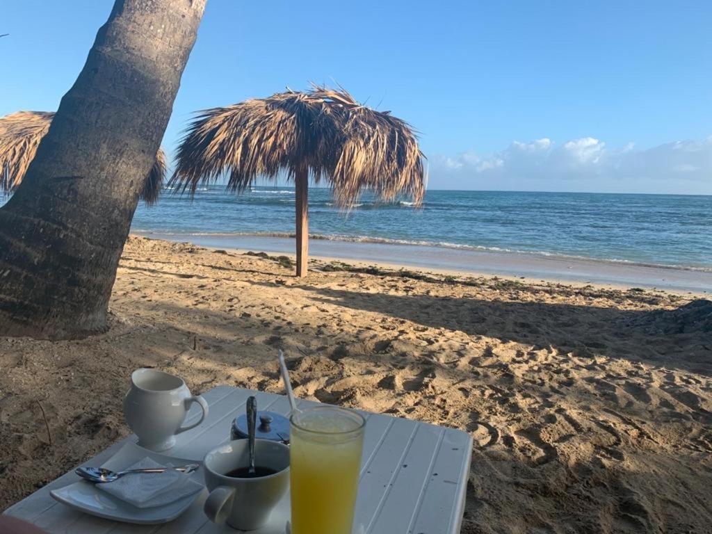 Mar Azul 401 Lejlighed Puerto Plata Eksteriør billede