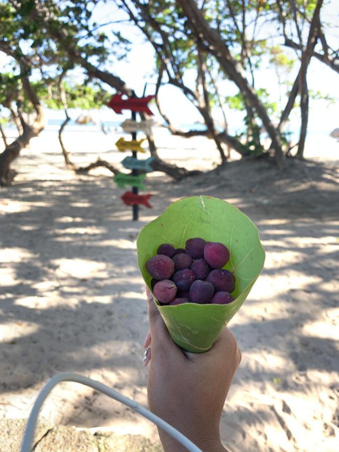 Mar Azul 401 Lejlighed Puerto Plata Eksteriør billede