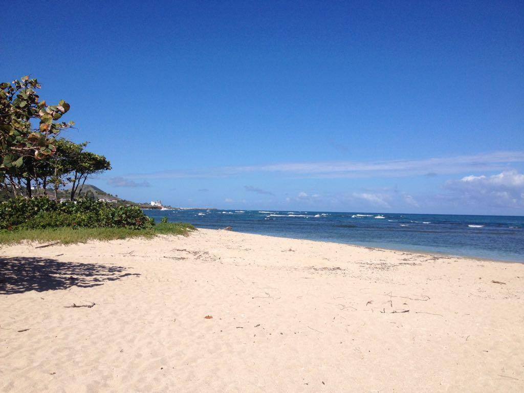 Mar Azul 401 Lejlighed Puerto Plata Eksteriør billede