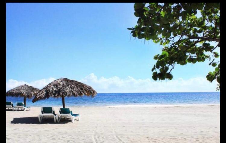 Mar Azul 401 Lejlighed Puerto Plata Eksteriør billede